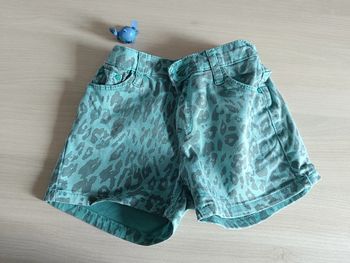 short motif leopard