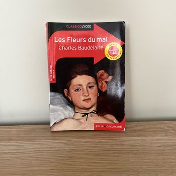 Livre les fleurs du mal