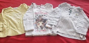 Lot se sweat-shirts manches longues T 12 mois