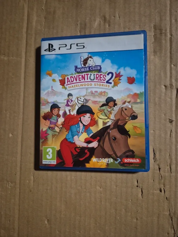 Horse Club Adventures 2 Hazelwood Stories pour PS5