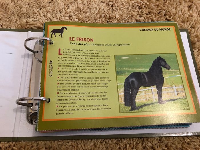 Classeur avec fiches chevaux - photo numéro 3
