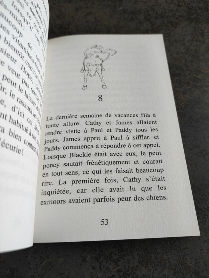 Livre 100% animaux - photo numéro 4