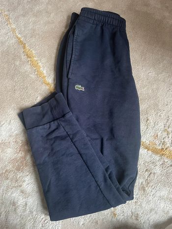 Jogging Lacoste