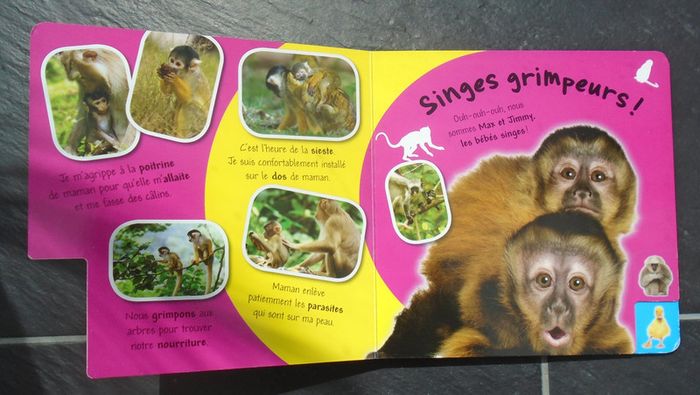 Joli livre "les bébés animaux" - photo numéro 5