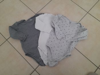 Bodies