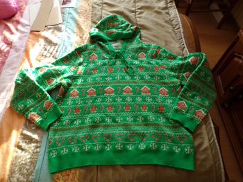 Pull de Noël vert à capuche T46/48