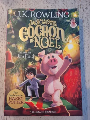 Livre enfant , Jack et la grande aventure du cochon de Noël