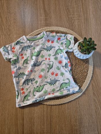 Tee shirt dinosaure