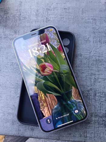 iPhone 12 Mauve 256 Go + AirPods Pro 2