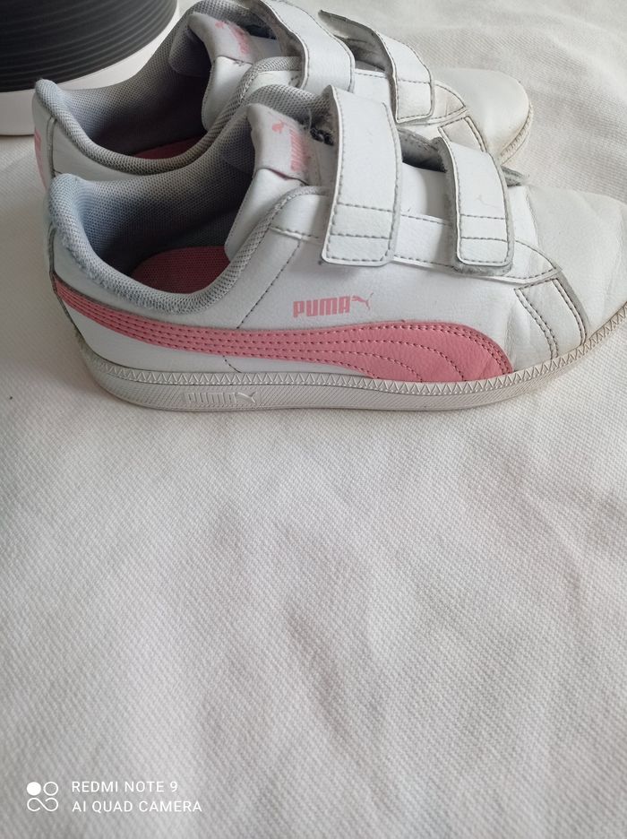 Puma à scratch - photo numéro 4