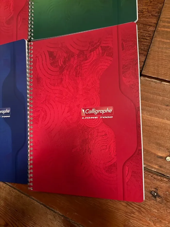 NEUF Calligrahe lot de 9 cahiers petits carreaux spirales Ligne 7000 100 pages 70g - photo numéro 2