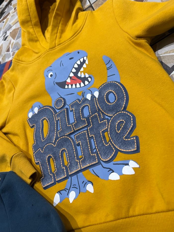 Lot de pulls dinosaures - photo numéro 9
