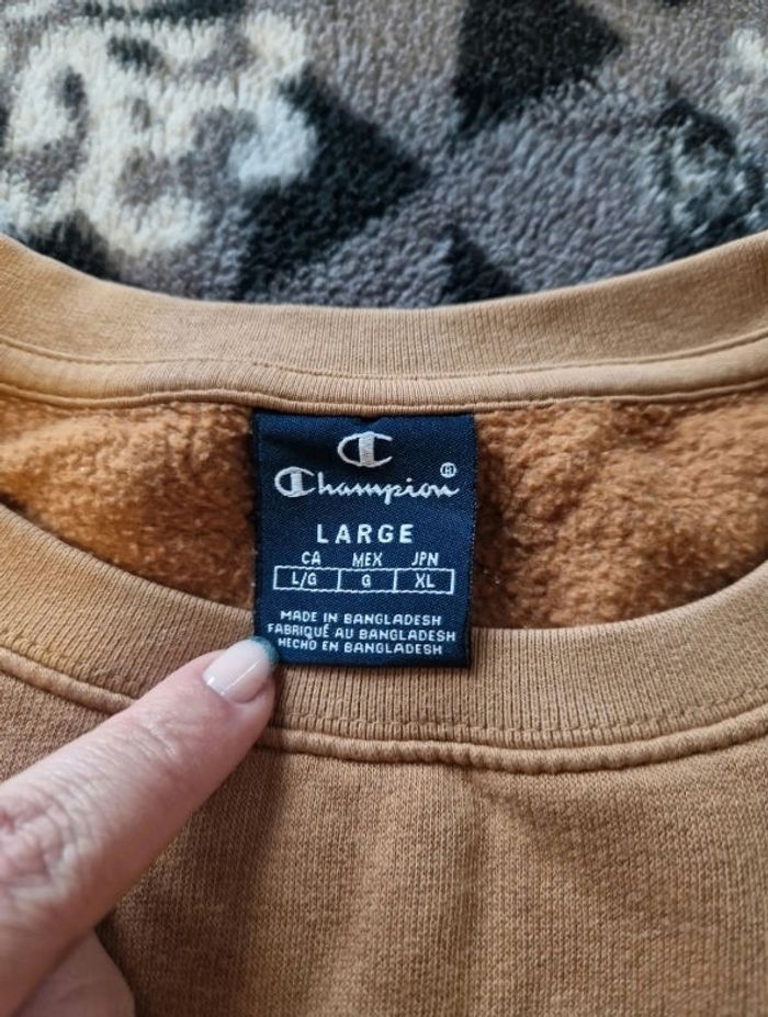 Pull Champion - photo numéro 3