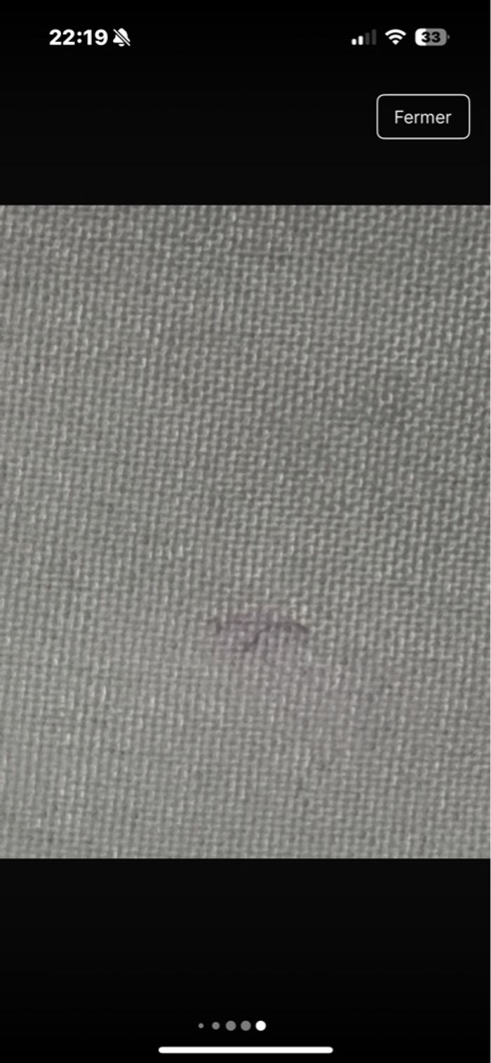 Chemise Stitch - photo numéro 5