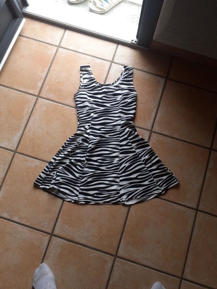 Jolie robe zebre