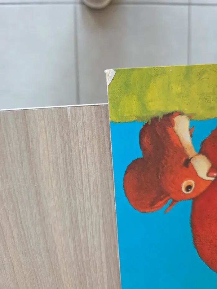 Livre le petit hérisson partageur - photo numéro 3