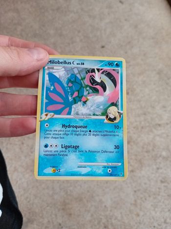 Carte pokemon