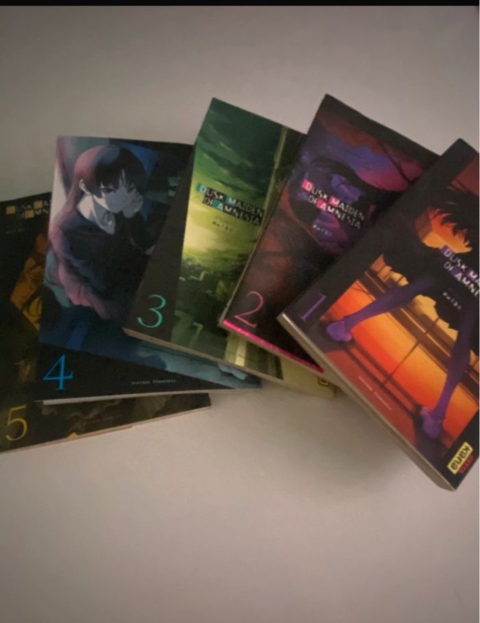 Manga dusk maiden of amnesia lot de 5