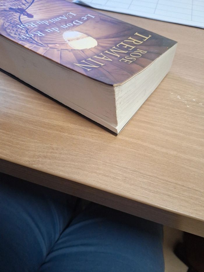 Livre historique - photo numéro 4