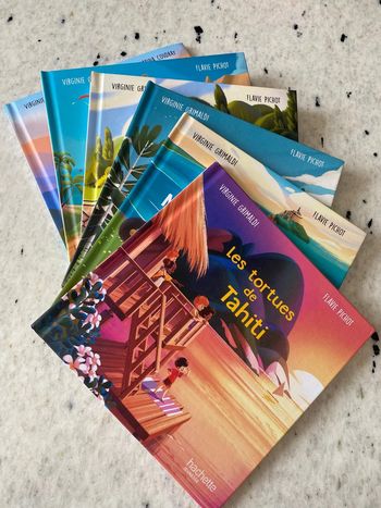 Lot 6 livres Merveilles de France