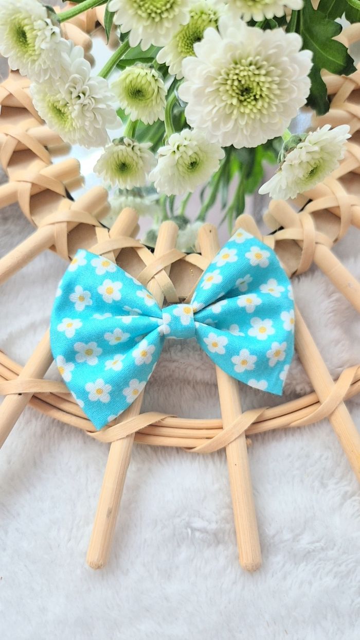 Barrette