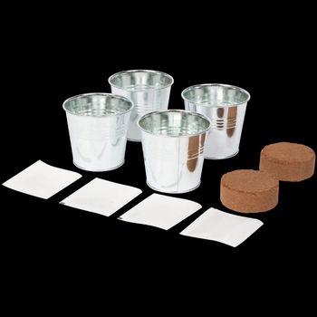 Kit de Culture – 4 Légumes Surprise à Faire Pousser chez Vous