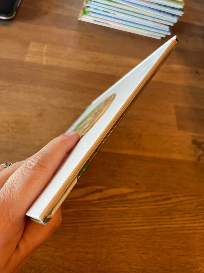 Livre Altaya Le monde des animaux Sauvages Animaux de la forêt Le Lynx - photo numéro 6