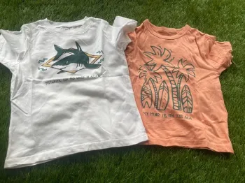 Lot 2 t-shirt taille 2/3 ans