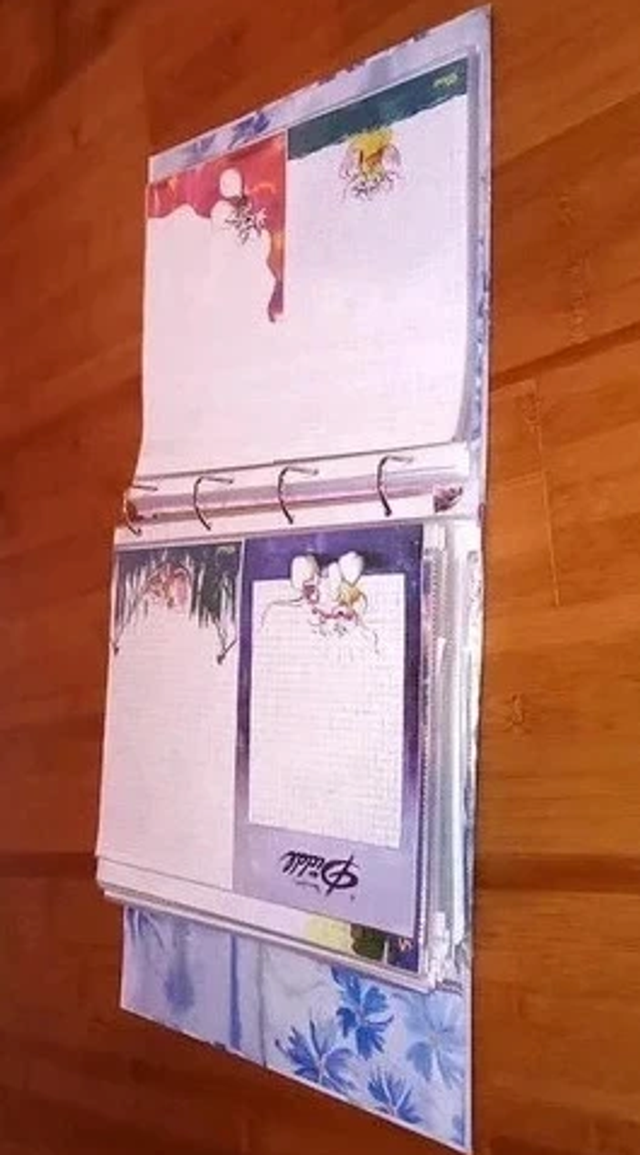 Classeur diddl avec feuilles diddl anciennes rares - photo numéro 2