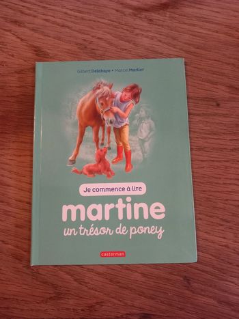 Livre Martine un trésor de poney