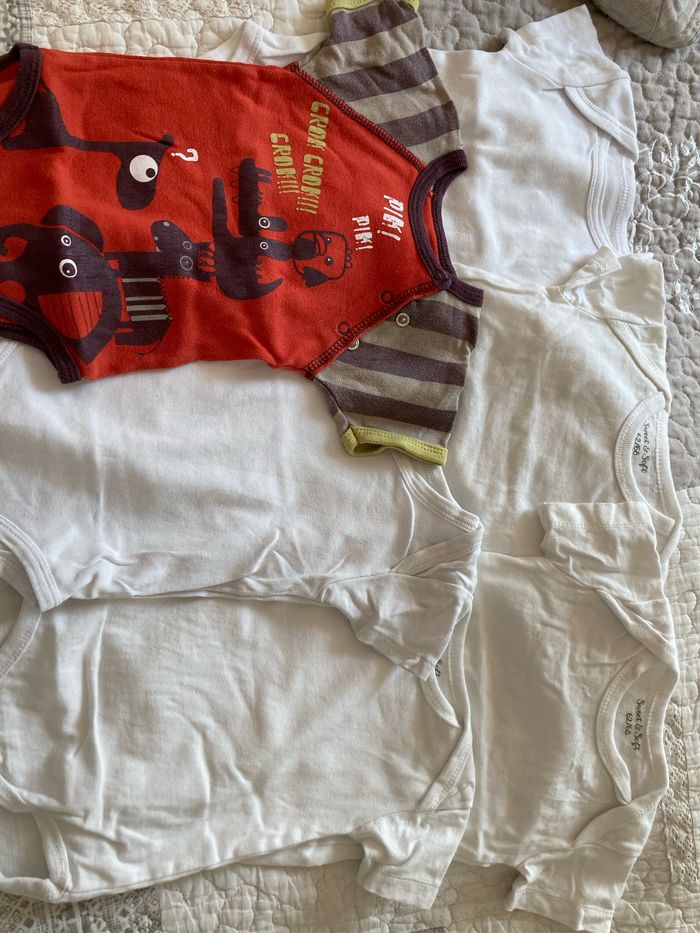 Lot 6 bodies manche courte