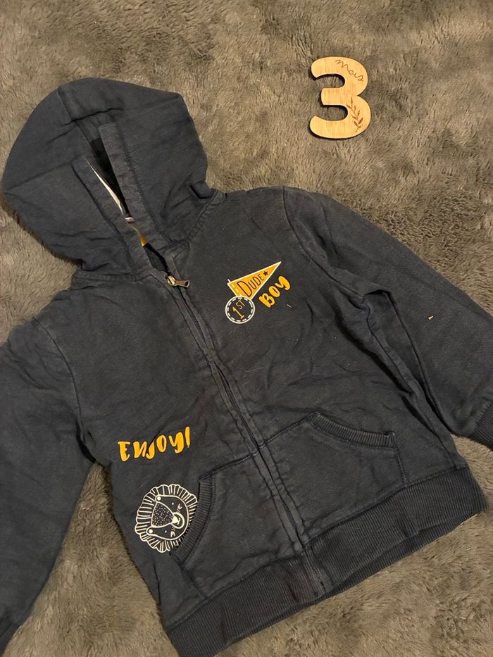 Lot sweat-shirt à capuche garçon - photo numéro 3