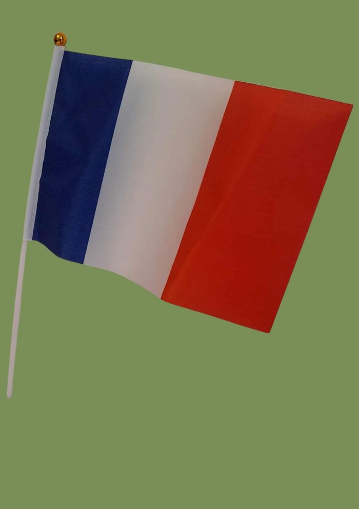Pack Drapeaux France 1 Grand Format + 2 Mini Drapeaux à Main - photo numéro 8