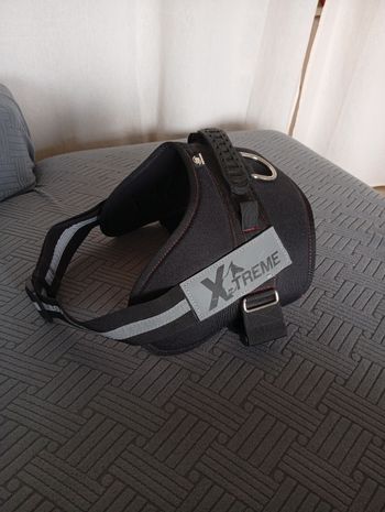 Harnais chien taille moyenne ou grand 