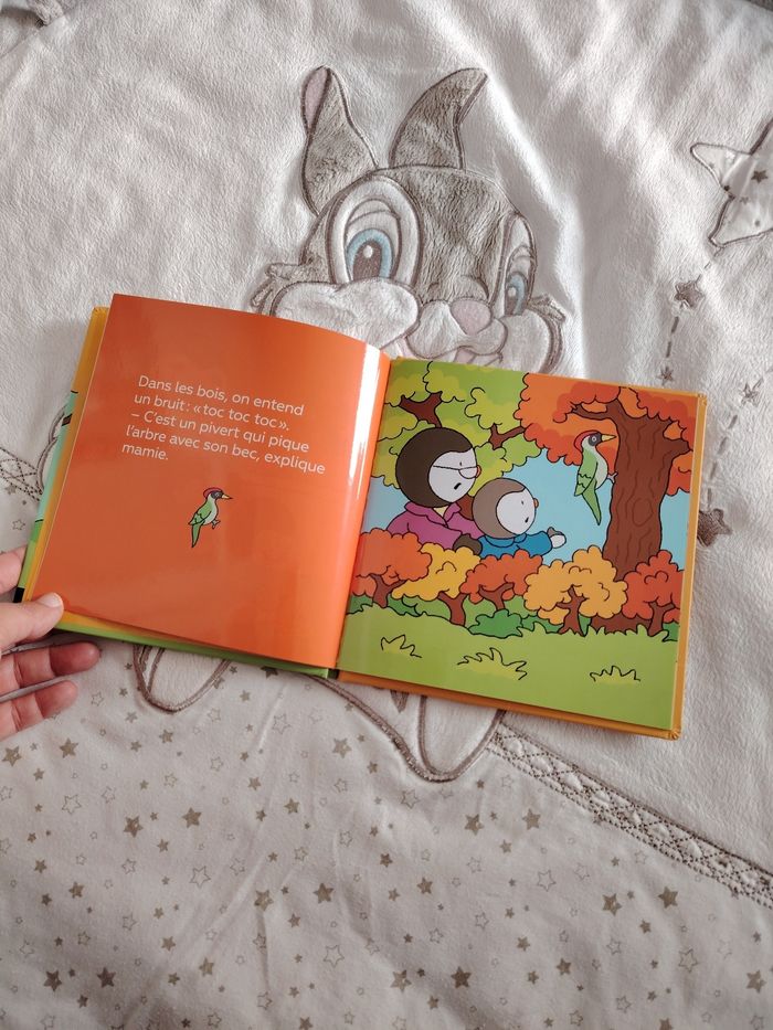 Livre T'choupi se promène en forêt - photo numéro 2
