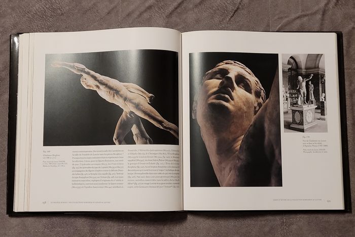 Les Antiques du Louvre - Une histoire du goût d'Henri IV à Napoléon Ier Jean-Luc Martinez - photo numéro 5