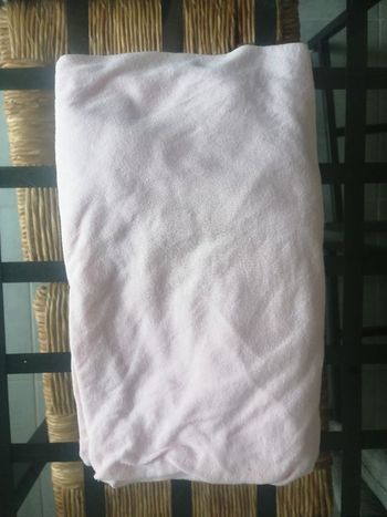 Drat house rose pale