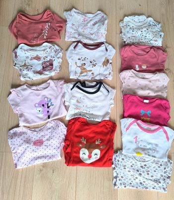 Lot de 8 bodies manches longues fille Petit Béguin + divers marques + 6 offerts - 18 / 24 mois 86 cm