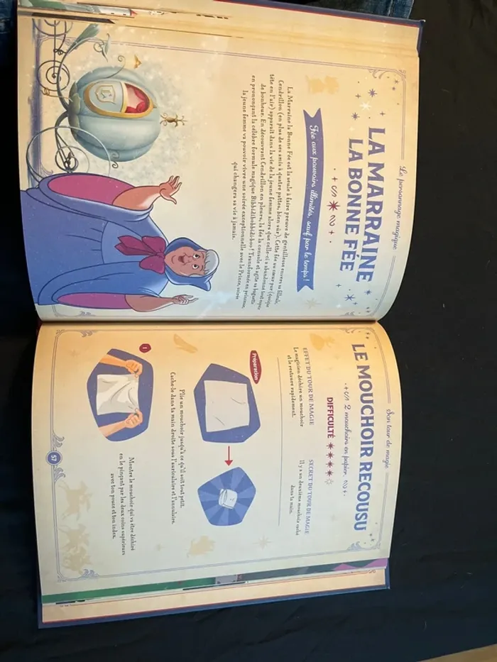 Le grimoire de magie - photo numéro 7