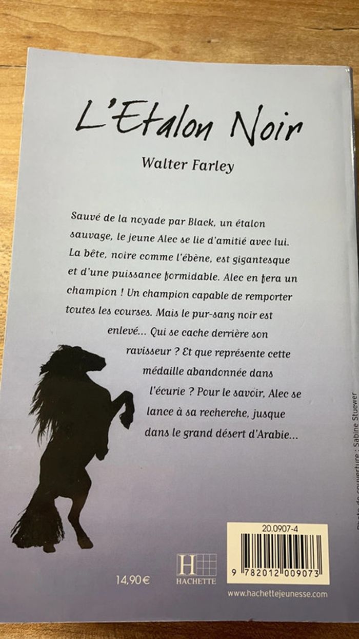 L’étalon noir - photo numéro 3