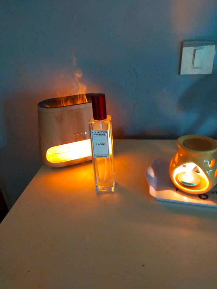 Brume la vie - photo numéro 2