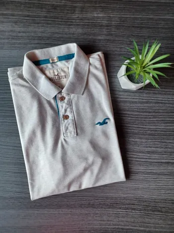 Polo Hollister 