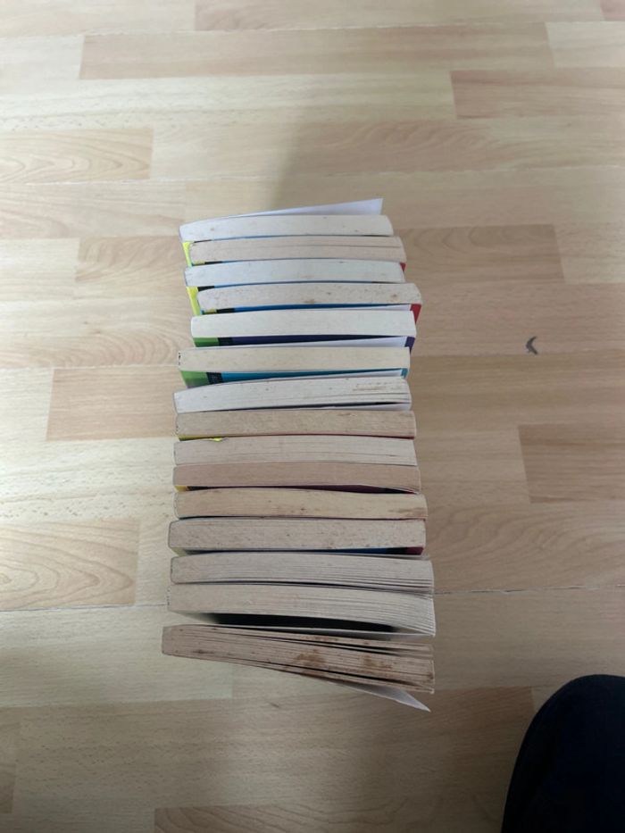 Livre grand galop - photo numéro 5