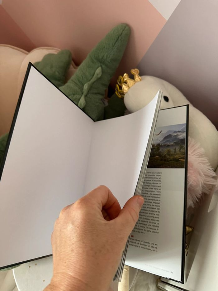 Livre jeux vidéo Assassins creed - photo numéro 5