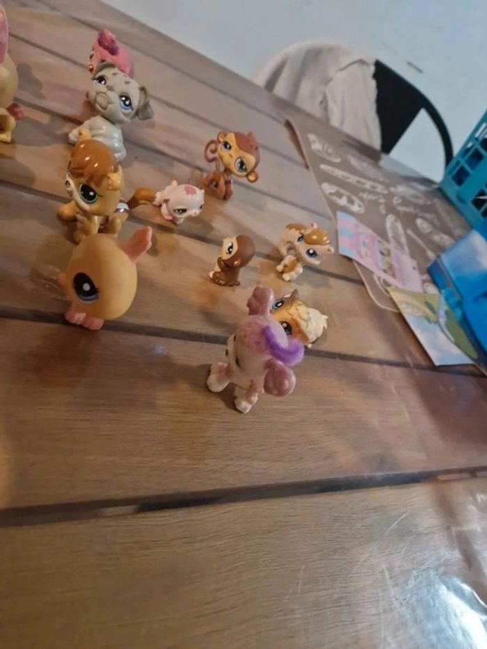 Lot petshop - photo numéro 2