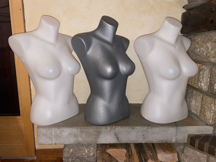 Buste plastique - photo numéro 3