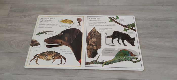 Livre - photo numéro 2