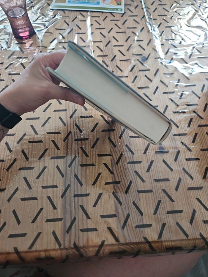 Livre Françoise Bourdin - photo numéro 4