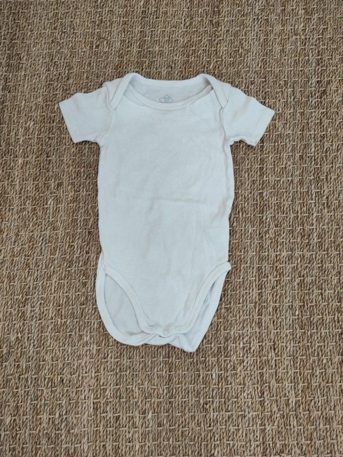 Body Tex 36mois