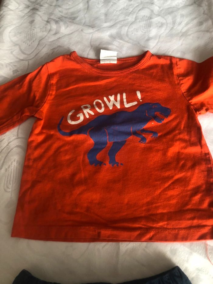 Tee shirt dinosaure 18mois - photo numéro 2